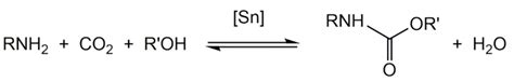 CO2 Derivatives of Molecular Tin Compounds. Part 2: Carbamato, Formato ...