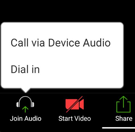 Image result for Join with Computer Audio