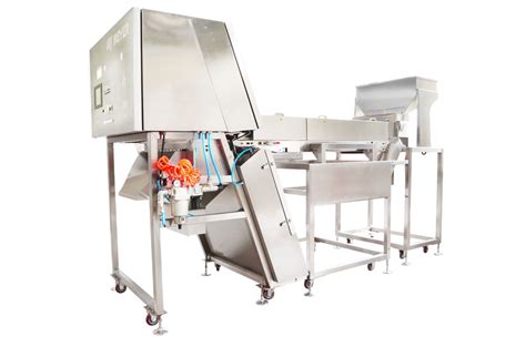 Cashew Kernel Grading & Colour Sorting Machine