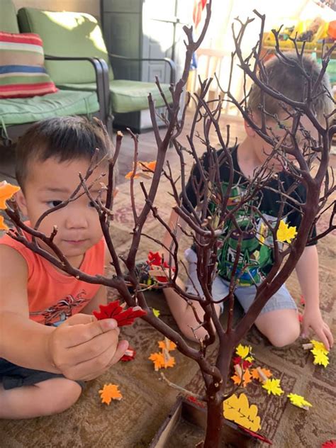 Washing Tree Activities 的图像结果