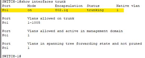 How to configure DHCP Snooping on switch, DHCP Server on router, SVI ...