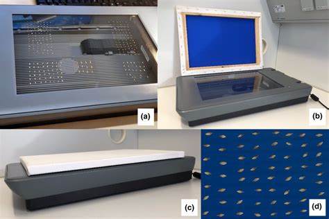 Image result for Using a Flatbed Scanner