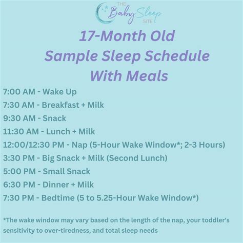 17 Month Old Sleep Schedule: Bedtime, Naps, and How to - BabySetGo.com