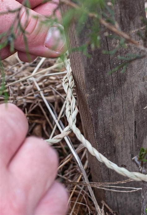 Buy SGT KNOTS Grass Cord - Twisted Grass Rope - Biodegradable Natural ...