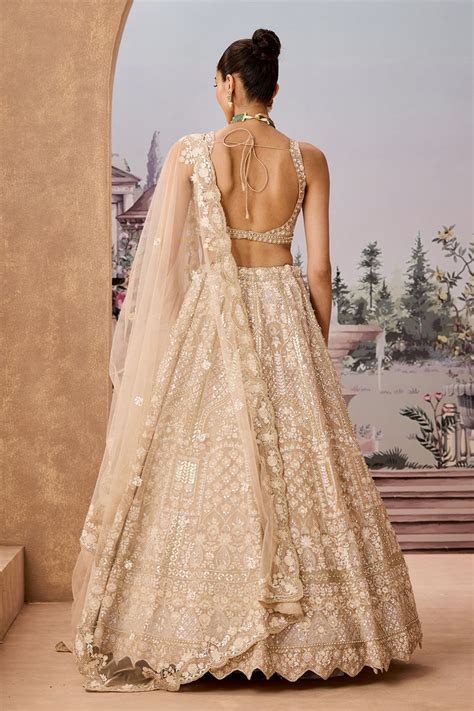 Shop Pushpara Lehenga Beige Organza Online for Women – Aneesh Agarwaal