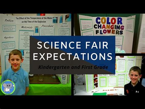 Grade 1 Science Projects 的图像结果