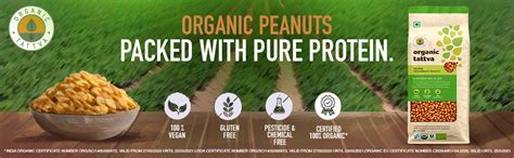 Organic Tattva, Organic Raw Peanuts / Groundnuts Unpolished and Gluten ...