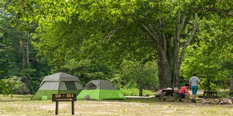 Rhode Island State Campgrounds: Nature Getaways & Camping
