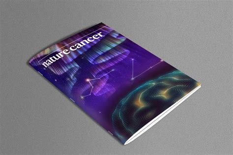 Nature Journal 的图像结果