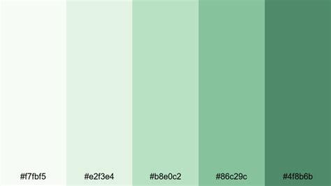 The Best 15 Fairy Garden Color Palette Ideas for Video & Design