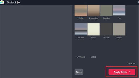 Add Filters to Your Videos Online: Simple and Effective