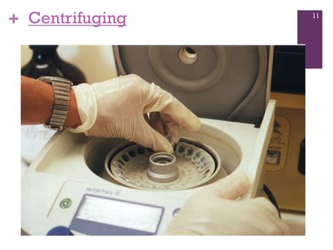 Image result for Separation Methods PowerPoint