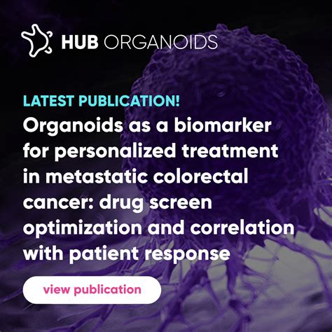 Organoids as a biomarker for personalized treatment in metastatic colorectal cancer: drug screen ...