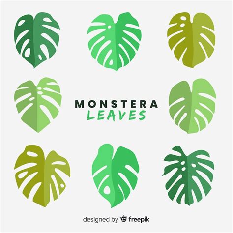 Monstera logo Zdjęcia - darmowe pobieranie na Freepik