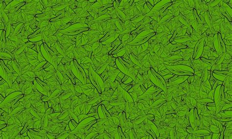 Leaf Pattern Nature 的图像结果