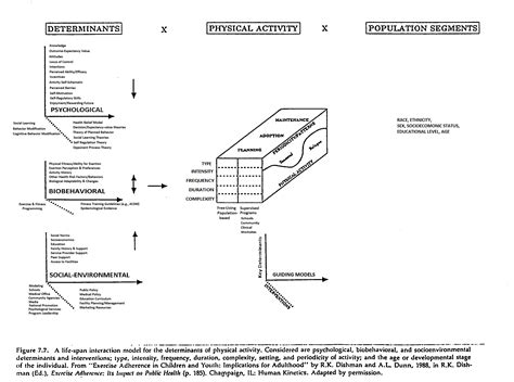 Image result for Different Variables Used in an Exercise Program Data Dictionary Example