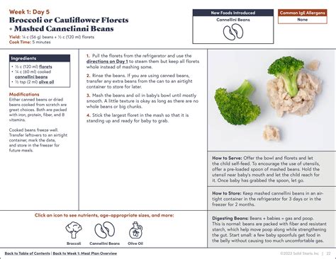 First 100 Days: Daily Meal Plan for Starting Solids