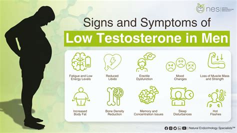 Andropause and Low Testosterone: Every Man Should Know
