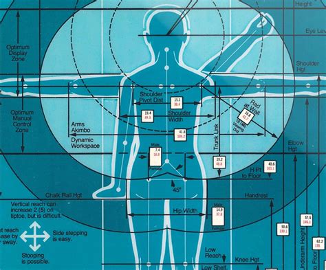 Humanscale Instructions 的图像结果