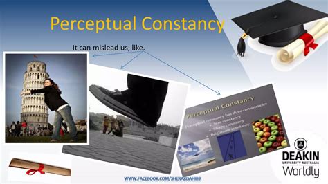 Perceptual Organization Presentation | PPTX