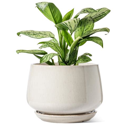Amazon.com : LE TAUCI Ceramic Planters, 12 Inch Pots for Plants, Indoor ...