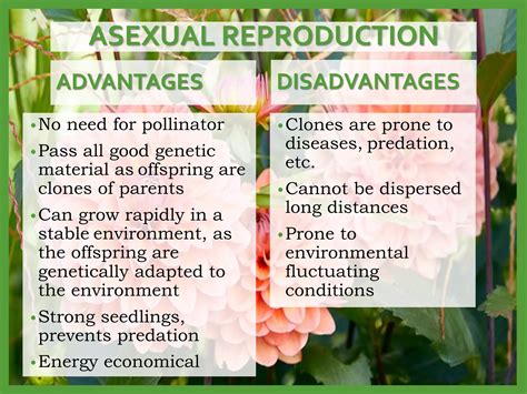 Plant-Reproduction.ppt