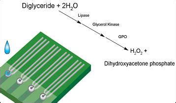 Enzymatic Determination of Diglyceride Using an Iridium Nano-Particle ...