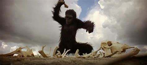 Australopithecus Song 的图像结果