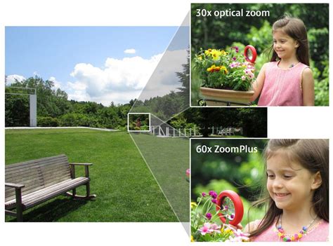 Buy Canon PowerShot SX510 12.1MP Point and Shoot Camera (Black) with ...