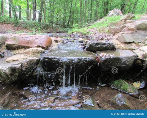 Stream at Roosevelt Park in Edison, NJ, USA. Ð“. Stock Photo - Image of ...