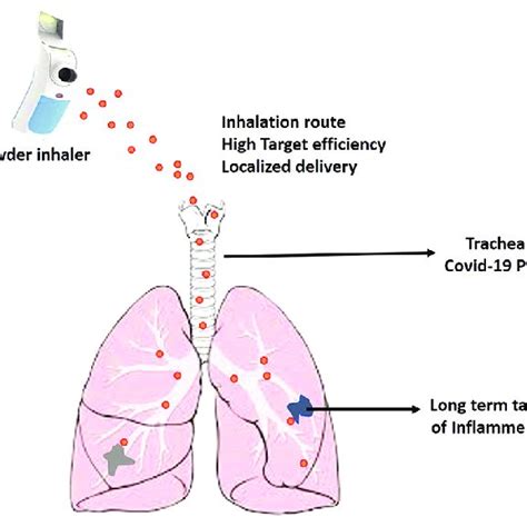 Image result for Dry Powder Inhaler Technique