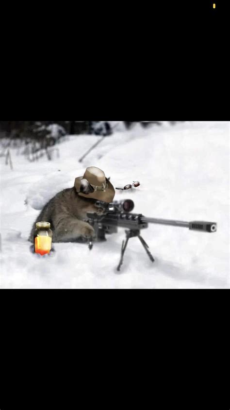 Tutorial Standards TF2 的图像结果