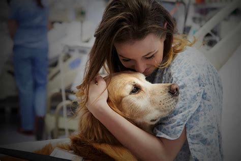 Why Are Therapy Dogs Important? - Therapy Pets Unlimited