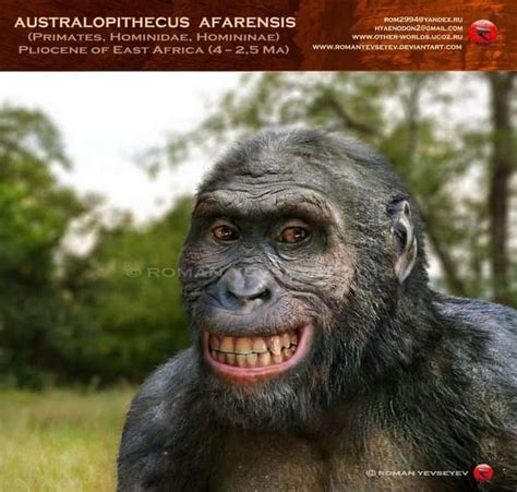 Australopithecus Documentary 的图像结果