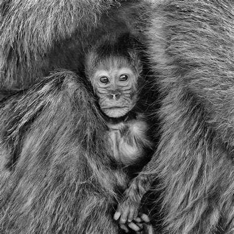 Elements Of Art Texture Examples