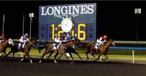 Adrie De Vries boosts World Cup chances with triple feat at Meydan ...