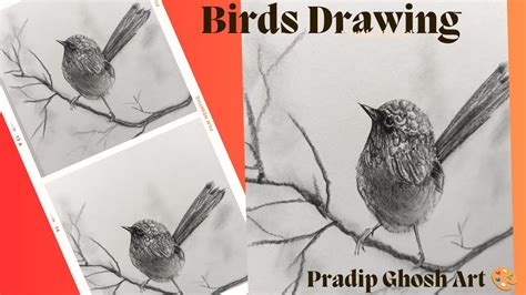 Image result for Drawing Tutorials Pretty Birds