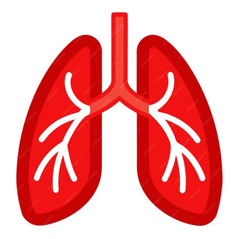 A red lungs clip art and Vector Design With a White Background ...