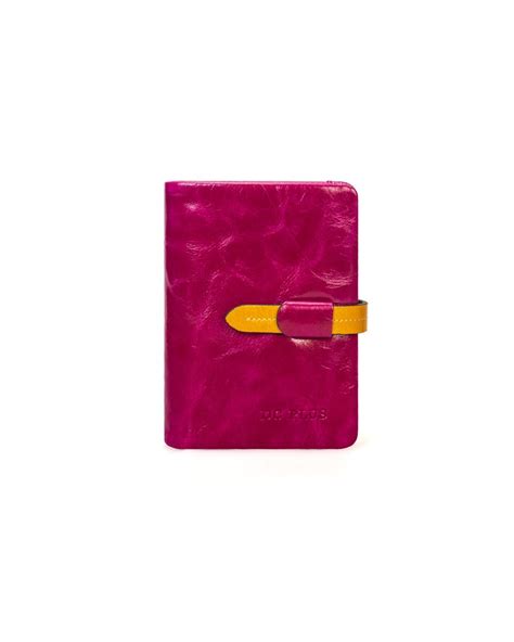 Buy Bi-fold Compact Wallet (Color Joint) at Amazon.in