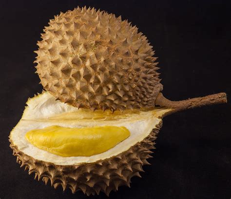 Durian In Spanish