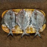 Fresh & Tender Seafood from the shores of Rameshwaram | FreshKatch