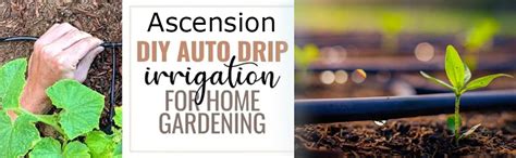 Ascension Agro Drip Irrigation Garden Watering Plants Main Supply Line ...