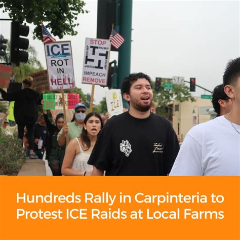 Edhat Santa Barbara | A young black bear was spotted wandering through ...