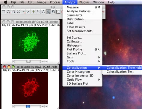 ImageJ Colocalization Analysis 的图像结果