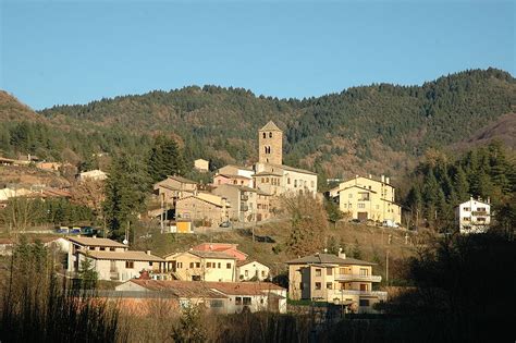 Fira de l'avet d'Espinelves | Campings In Girona