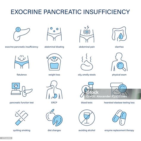 Exocrine Pancreatic Insufficiency Symptoms Diagnostic And Treatment ...