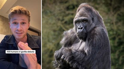 Robert Irwin Weighed In On The 100 Men vs One Gorilla Debate - Digital ...