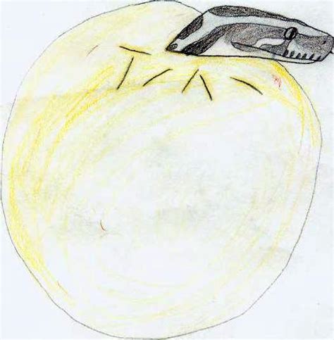 Image result for Burmese Python Hatching