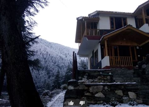 9 Best Stays In Jibhi, The Little Slice Of Heaven In Himachal Pradesh ...