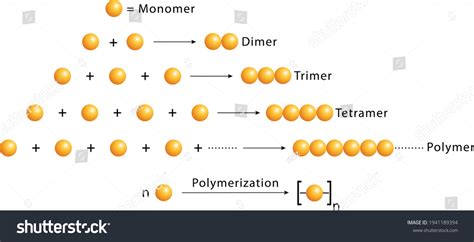 Image result for Polymerization Reaction